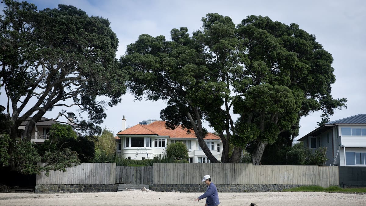 Takapuna beachfront home owner fined $21,000 for illegal pōhutukawa trimming