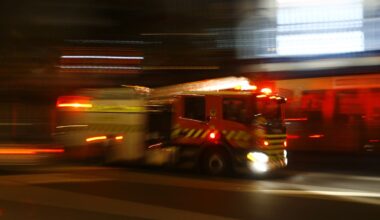 Driver survives 100m cliff plunge off SH25 in Coromandel, firefighters in four-hour rescue