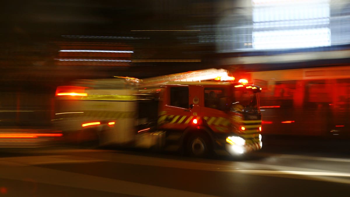 Driver survives 100m cliff plunge off SH25 in Coromandel, firefighters in four-hour rescue