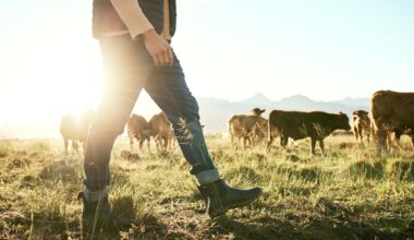 Farm-work pay rising, offering young people a quicker path to higher wages - report