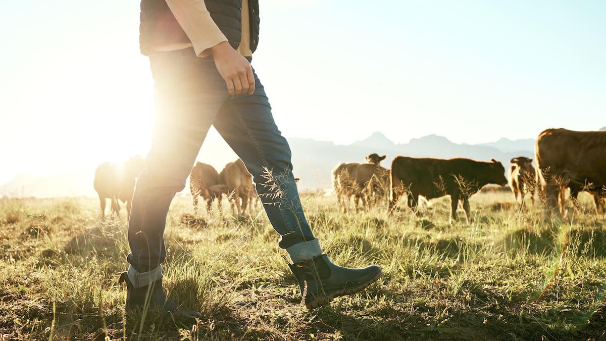 Farm-work pay rising, offering young people a quicker path to higher wages - report