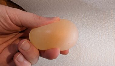 A hand holds and squeezes a dissolved egg
