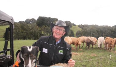 $200m for Northland dairy farmers from $4.2b Fonterra brand sale