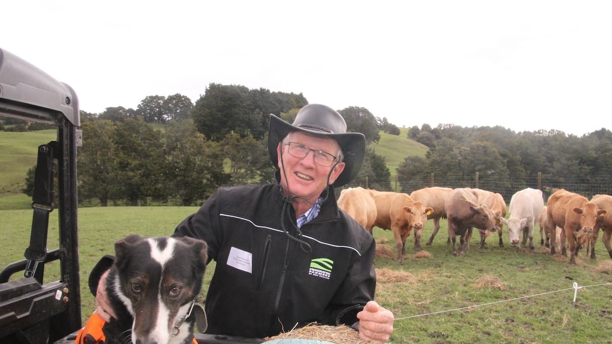 $200m for Northland dairy farmers from $4.2b Fonterra brand sale