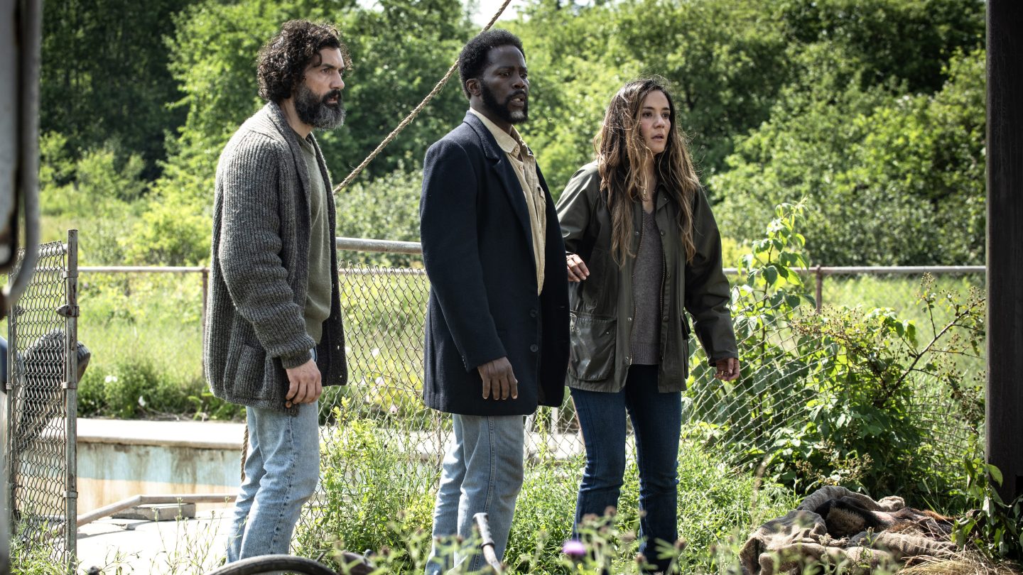 'From' Renewed For Fifth and Final Season (Exclusive)