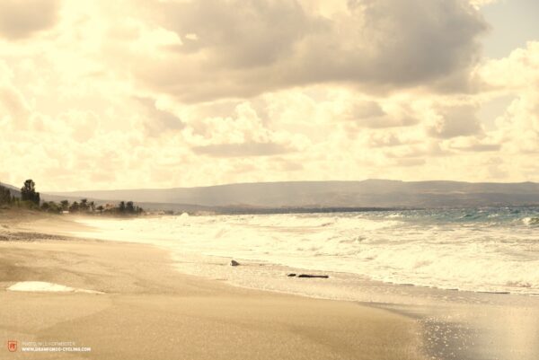 Falkenjagd 16 600x401