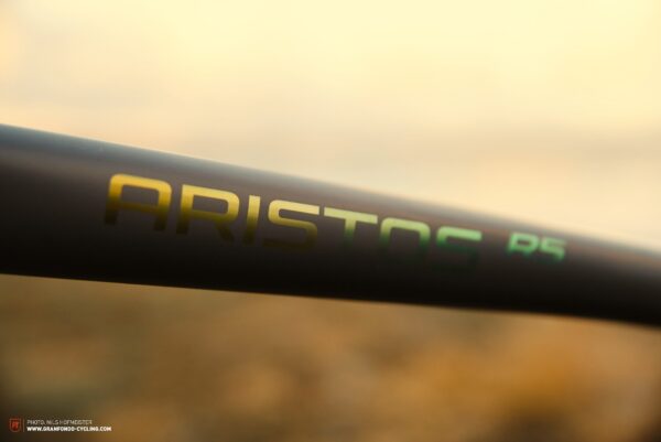 Falkenjagd 6 600x401