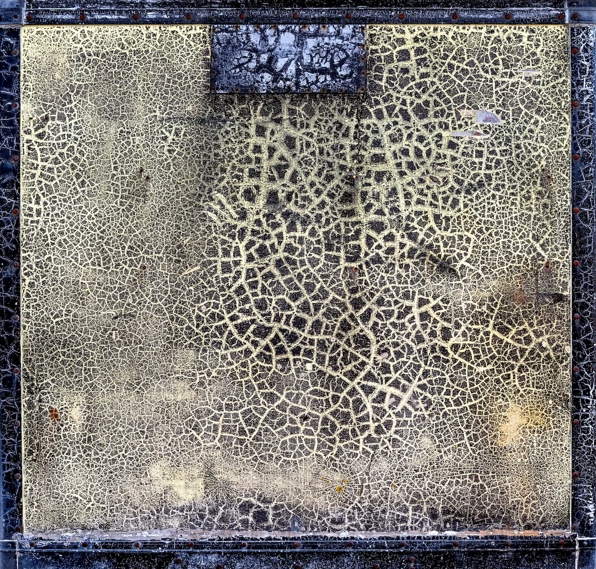 Crazed Paint by Martin Malies