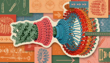 What Physical ‘Life Force’ Turns Biology’s Wheels?