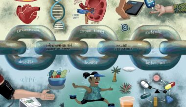 EDUCATE REVISITED: Renal impairment | New Zealand Doctor