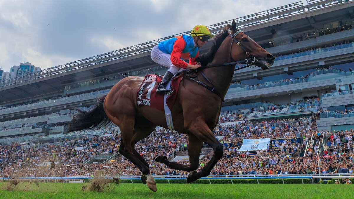 Ka Ying Rising and Kiwi racing’s Three Kings: We may never see anything like this again