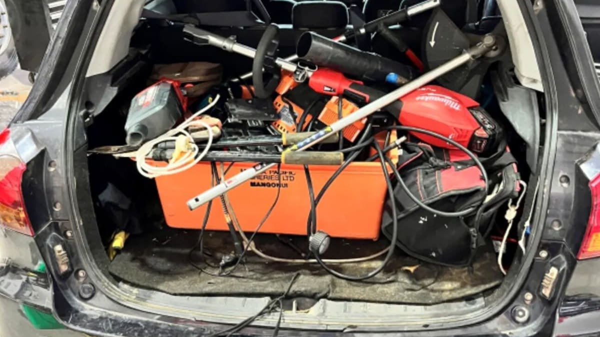 Two arrested after $100,000 of kiwifruit pollen stolen from Kerikeri property