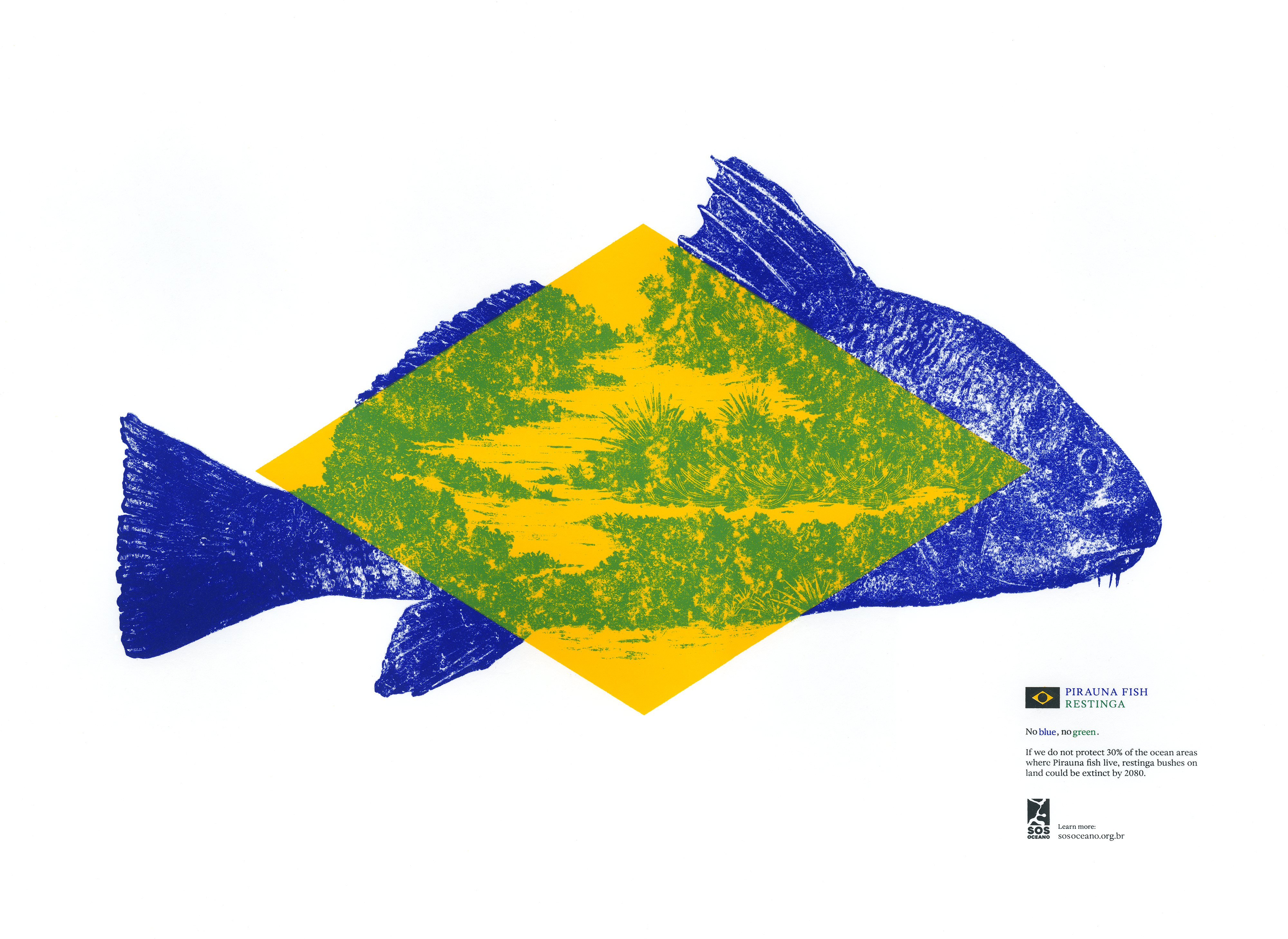 Brazilian flag reimagined for a campaign to raise awareness of ocean conservation