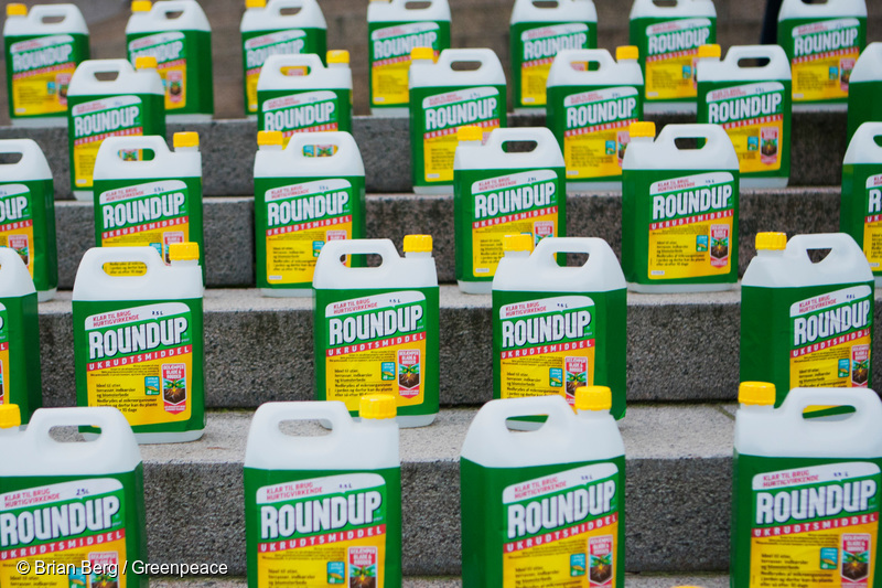 Glyphosate on Trial: To Ban or Not Ban?