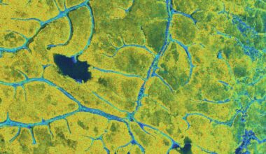 Gallery forests of the Angola–DRC borderlands