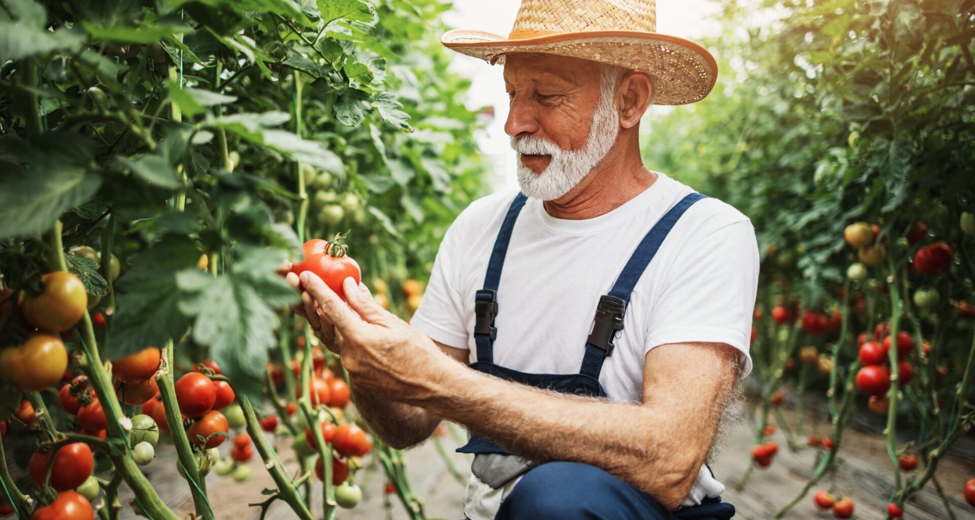 Gardening linked to better brain health and fewer memory problems
