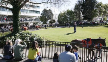 TAB New Zealand Announces Temporary Fuel Relief Package To Support Racing Participants