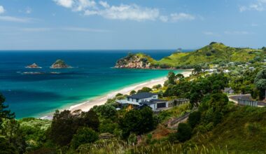 Fishing industry fears 'going backwards' with new laws empowering council bans
