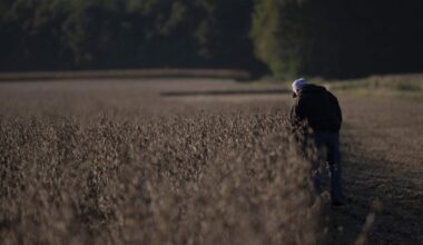 Food prices are rising again. Drought, war, and tariffs are to blame