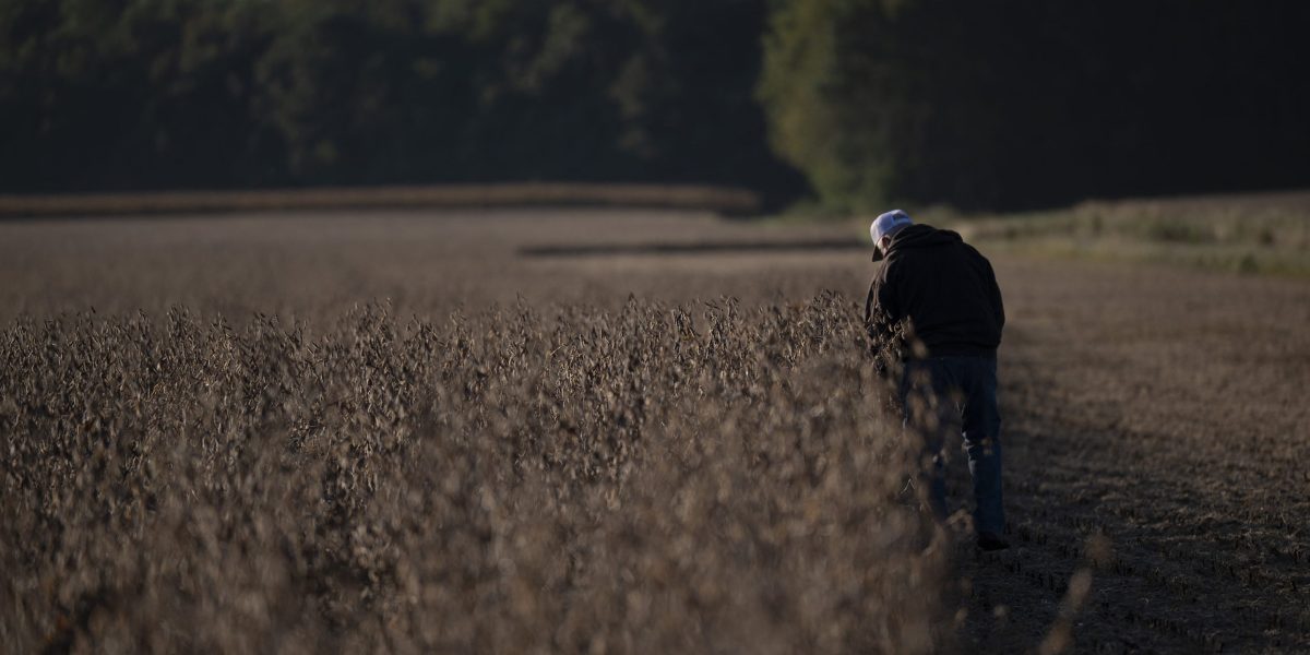 Food prices are rising again. Drought, war, and tariffs are to blame