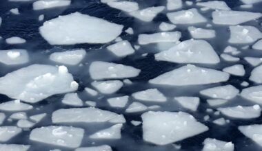 Diving robots help crack the mystery of Antarcticas' vanishing sea ice