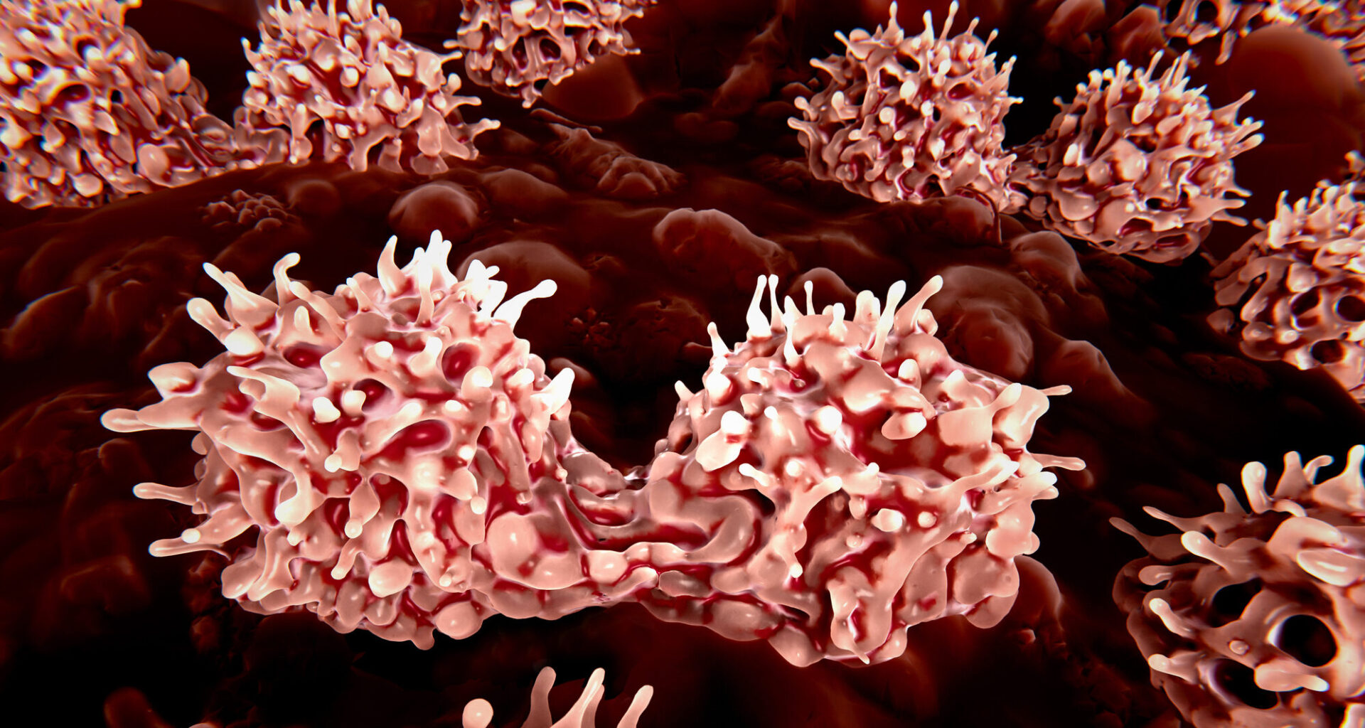 Stem Cell Editing Programs the Immune System to Make Own Therapeutic Proteins