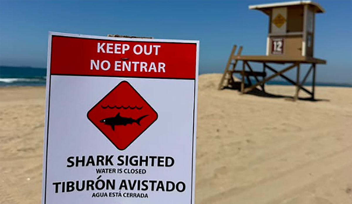 Shark's 'Aggressive Behavior' Shuts Down 2-Mile Stretch of Huntington Beach