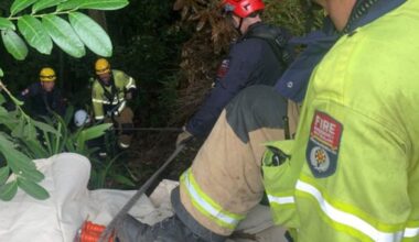 Firefighters free elderly Auckland man trapped overnight in ravine