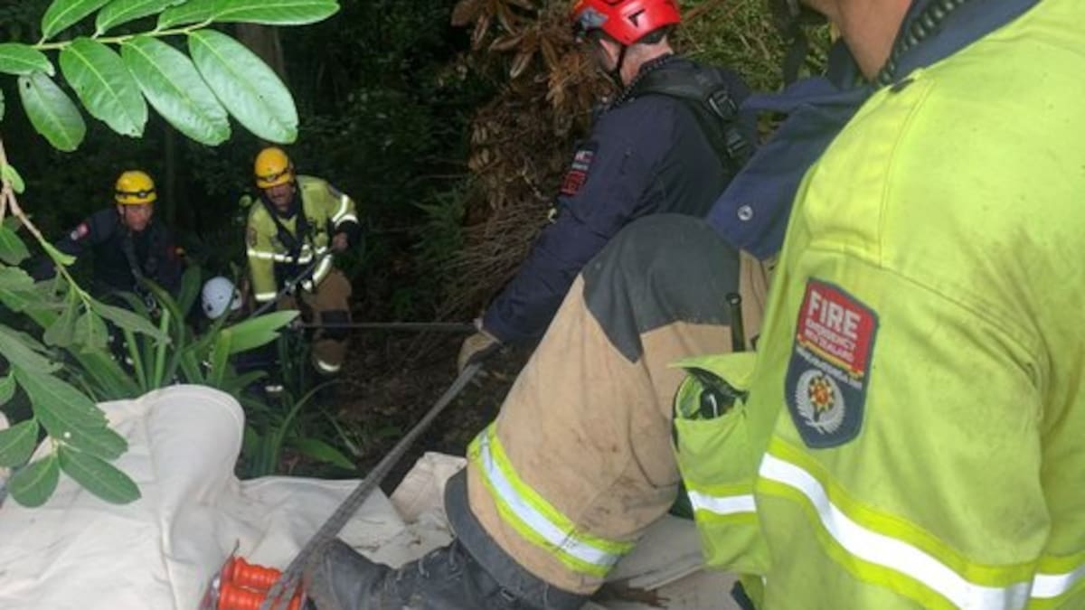 Firefighters free elderly Auckland man trapped overnight in ravine