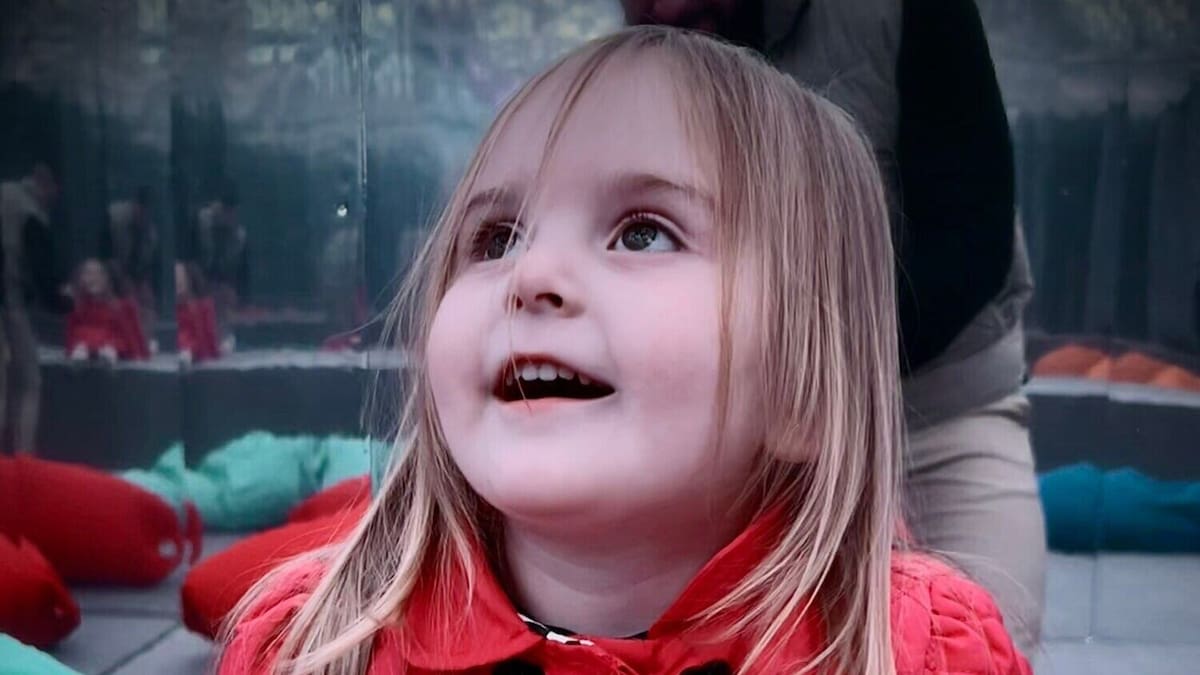 Driver in Rotorua crash that killed Sakura Hall, 2, admits he was on drugs