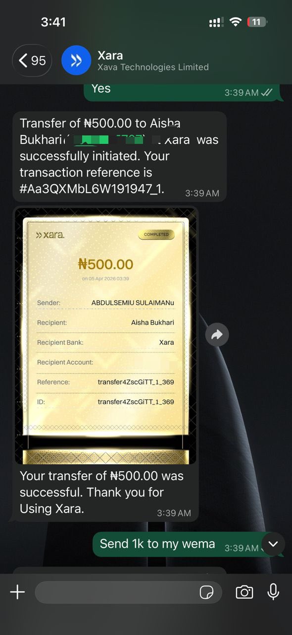 This Nigerian founder got an offer from Elon Musk's xAI after his AI startup went viral 2 user interface of Xara