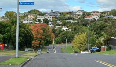 Welcome Bay woman bitten by roaming dog, council hunting for ‘menace’