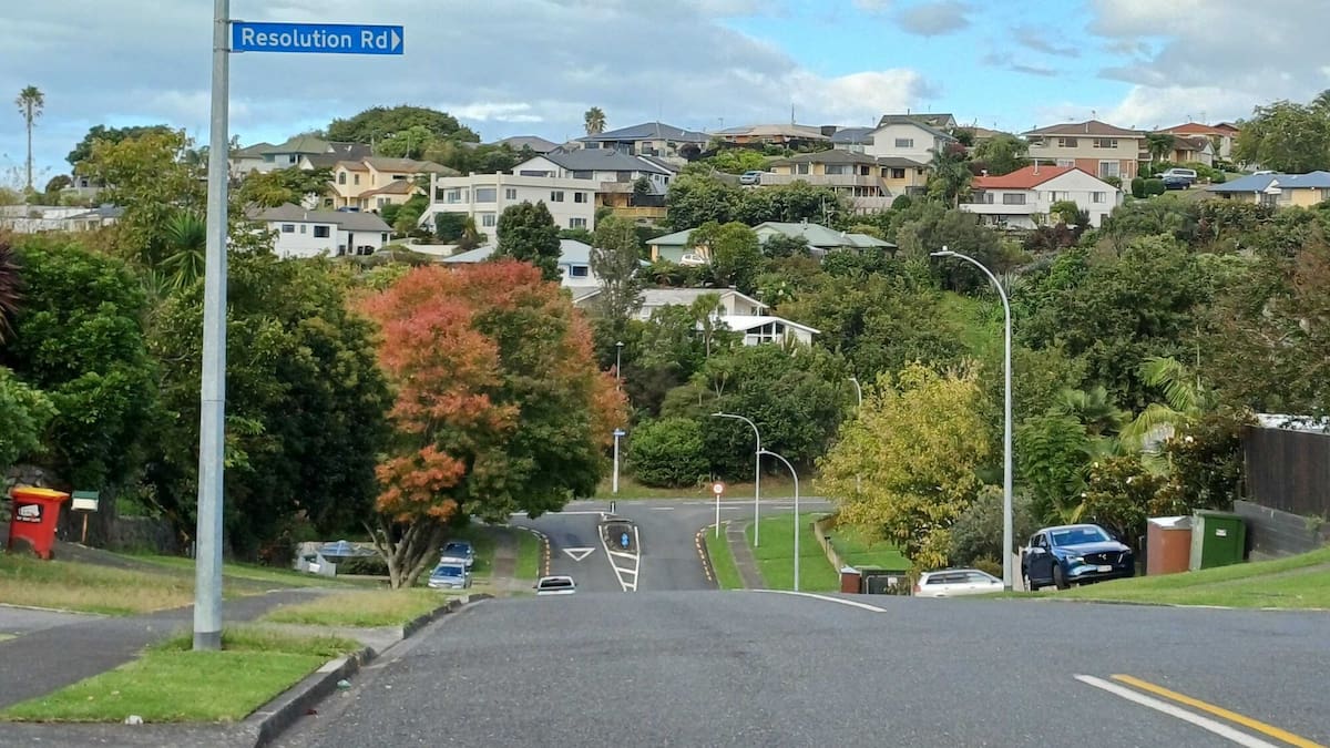 Welcome Bay woman bitten by roaming dog, council hunting for ‘menace’