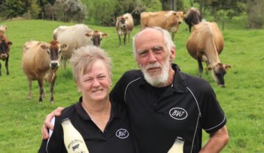 Fuel costs and storms force closure of Bella Vacca Jerseys in Northland