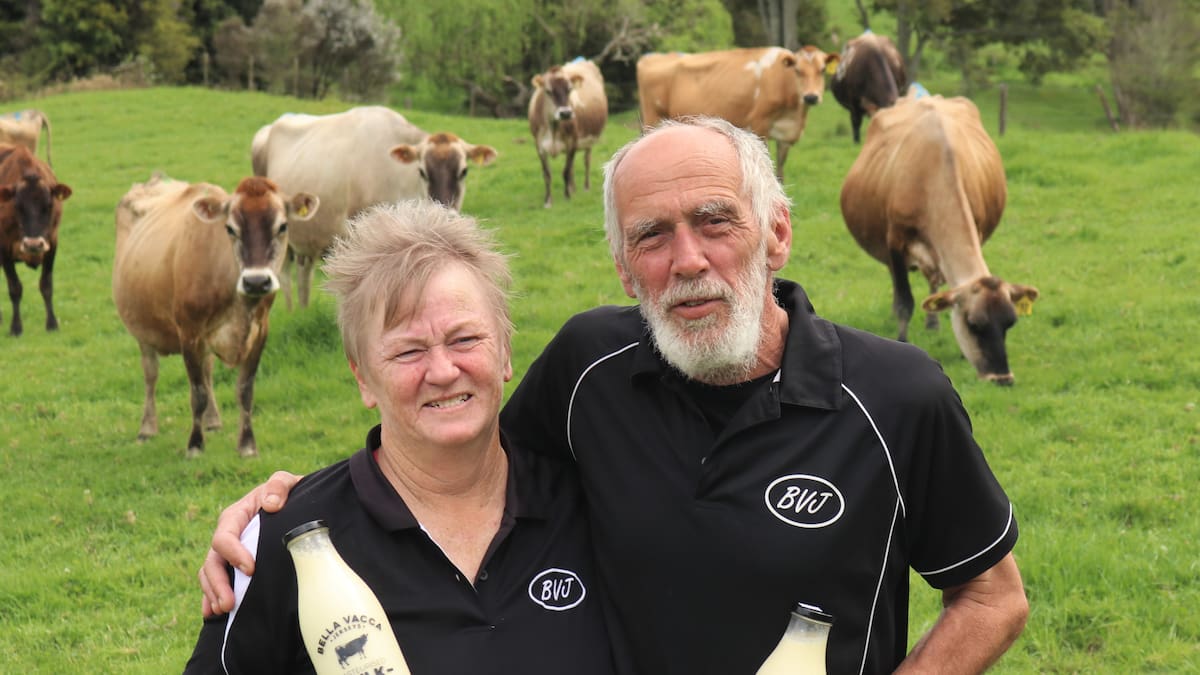 Fuel costs and storms force closure of Bella Vacca Jerseys in Northland