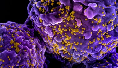 Norwegian Man Cured of HIV by His Brother’s Stem Cells