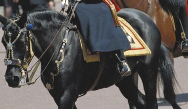 All the Queen’s horses! Chronicling Her Majesty's life in 13 of her favourite steeds