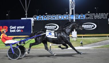 Keayang Zahara looking for worthy trotting rivals after smashing Kiwis again