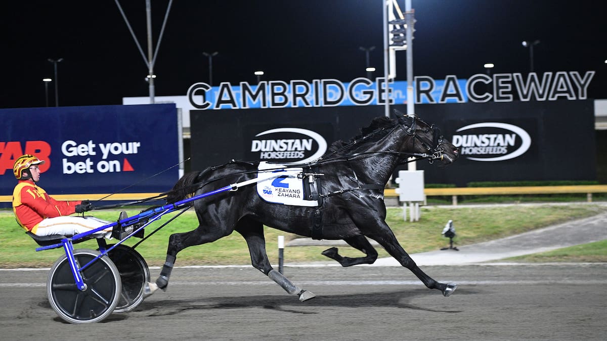 Keayang Zahara looking for worthy trotting rivals after smashing Kiwis again