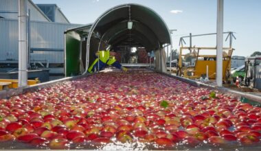 NZ sharemarket flat amid US/Iran deal - Market close