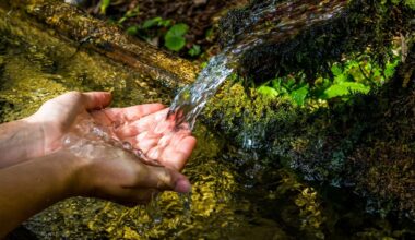 Groundwater contamination in New Zealand reveals a legacy of human pressure