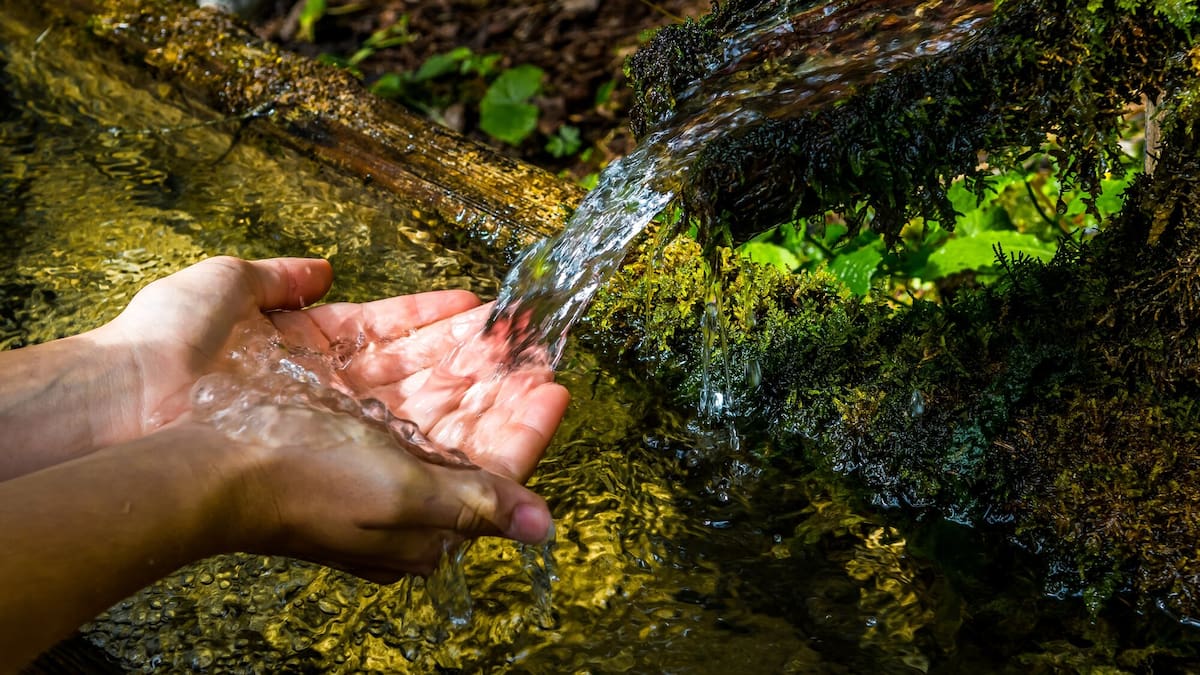 Groundwater contamination in New Zealand reveals a legacy of human pressure