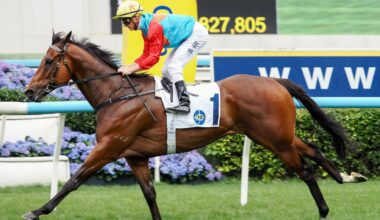 Horse racing: Kiwi world champion sprinter still improving, judging by latest track record