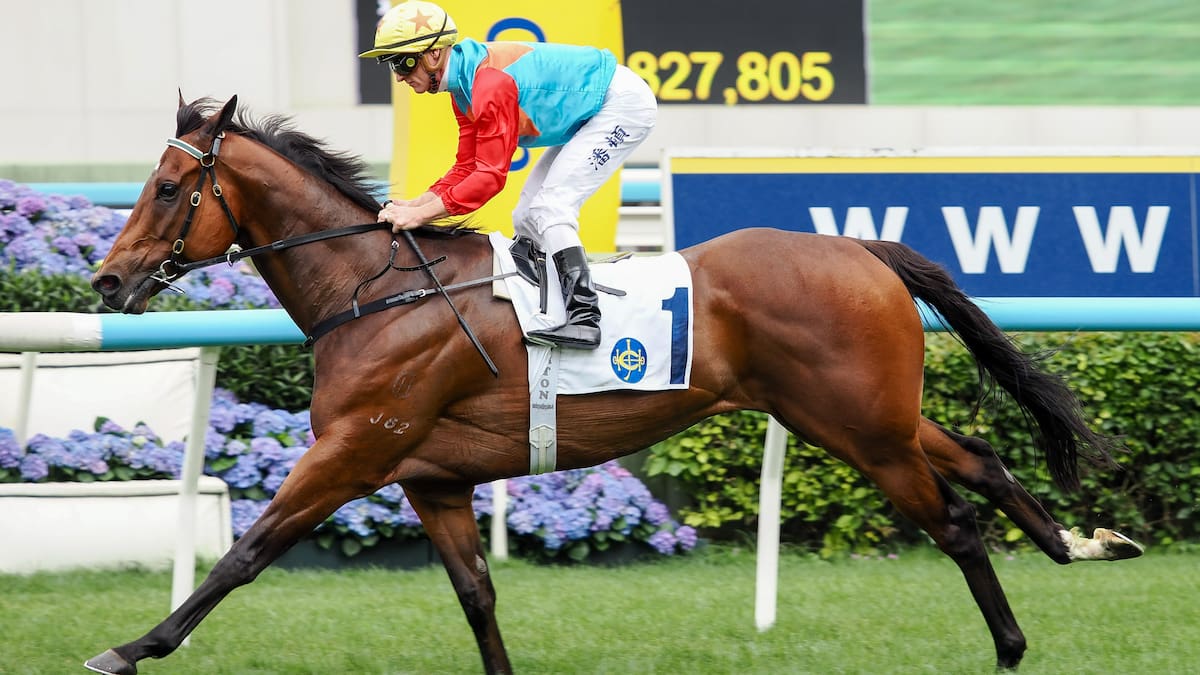 Horse racing: Kiwi world champion sprinter still improving, judging by latest track record