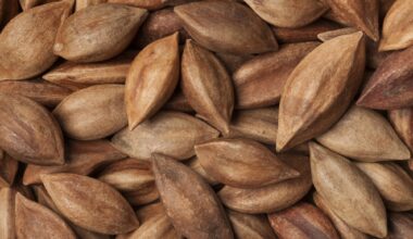 Pili Nuts Nutrition Facts and Health Benefits Explained