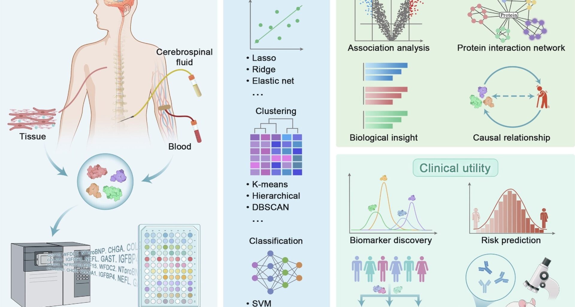 Proteomics analytical pipeline in precision medicine. Review: The emerging role of high-throughput proteomics in advancing precision medicine