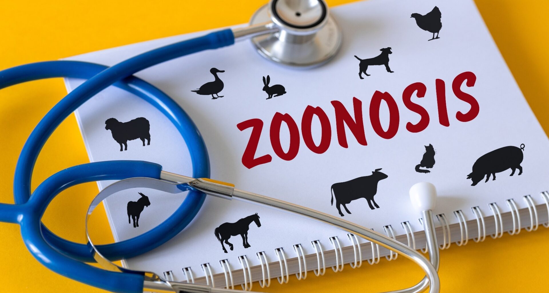 Study: A complete catalogue of human-infective RNA viruses. Image Credit: Andrzej Rostek / Shutterstock