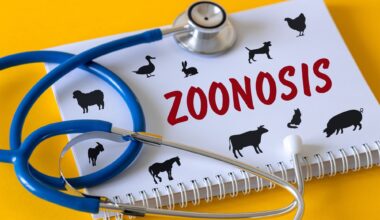 Study: A complete catalogue of human-infective RNA viruses. Image Credit: Andrzej Rostek / Shutterstock