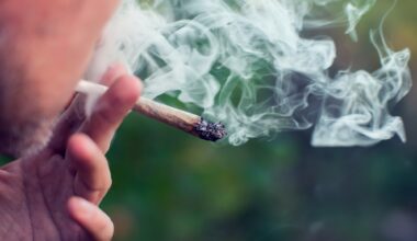 Young man smokes a joint of cannabis