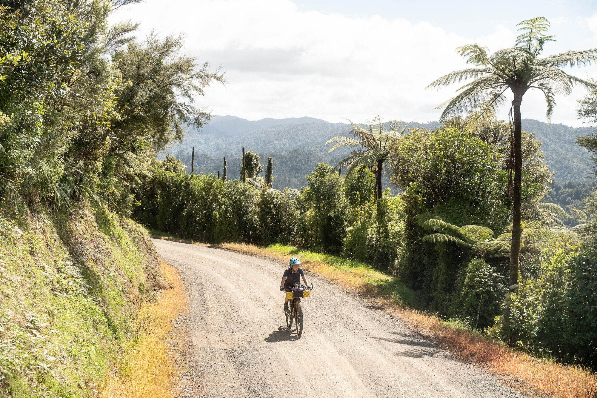 Paper Roads Aotearoa